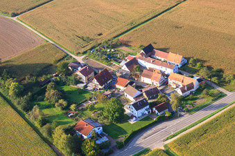 Vue aérienne de Quartier de Welschhof à Freckenfeld dans le département Rhénanie-Palatinat, Allemagne
