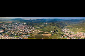 Vue aérienne de Vue de la ville depuis le nord-est à le quartier Pleisweiler in Bad Bergzabern dans le département Rhénanie-Palatinat, Allemagne