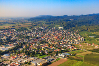 Vue aérienne de Vue de la ville depuis le nord-est à le quartier Pleisweiler in Bad Bergzabern dans le département Rhénanie-Palatinat, Allemagne