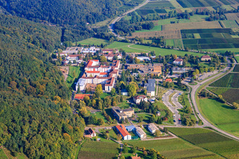 Vue aérienne de Clinique psychiatrique d'État à Klingenmünster dans le département Rhénanie-Palatinat, Allemagne