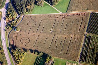 Vue aérienne de Labyrinthe - Labyrinthe avec les contours de smileys sur un champ à Göcklingen dans le département Rhénanie-Palatinat, Allemagne