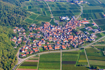 Vue aérienne de Village viticole au pied des ruines de Madenburg à Eschbach dans le département Rhénanie-Palatinat, Allemagne