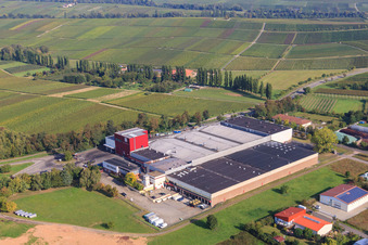 Vue aérienne de Coopérative viticole Deutsches Weintor eG à Ilbesheim bei Landau dans le département Rhénanie-Palatinat, Allemagne