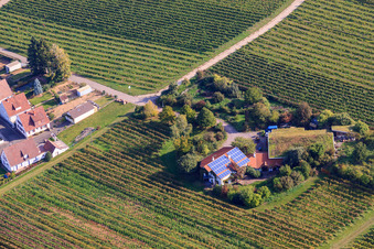 Vue aérienne de Vignerons sous le toit d'herbe à le quartier Wollmesheim in Landau in der Pfalz dans le département Rhénanie-Palatinat, Allemagne