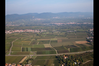 Photographie aérienne de Quartier Arzheim in Landau in der Pfalz dans le département Rhénanie-Palatinat, Allemagne