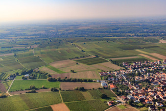 Vue aérienne de Vue du village depuis le nord à le quartier Mörzheim in Landau in der Pfalz dans le département Rhénanie-Palatinat, Allemagne