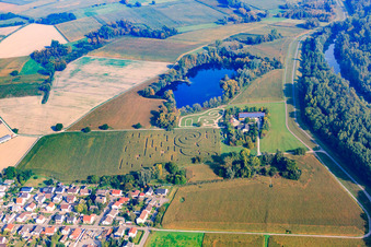 Photographie aérienne de Labyrinthe de maïs Seehof à Leimersheim dans le département Rhénanie-Palatinat, Allemagne