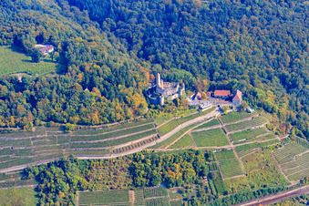 Vue aérienne de Le château de Hornberg au-dessus de vignobles escarpés à Neckarzimmern dans le département Bade-Wurtemberg, Allemagne