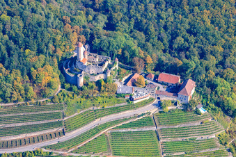 Vue aérienne de Château de Hornberg à Neckarzimmern dans le département Bade-Wurtemberg, Allemagne