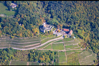 Vue aérienne de Le château de Hornberg au-dessus de vignobles escarpés à Neckarzimmern dans le département Bade-Wurtemberg, Allemagne