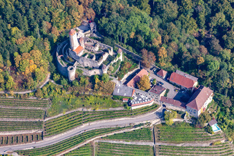 Vue aérienne de Château de Hornberg à Neckarzimmern à Neckarzimmern dans le département Bade-Wurtemberg, Allemagne
