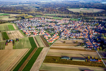 Photographie aérienne de Village vu de l'ouest à Hördt dans le département Rhénanie-Palatinat, Allemagne