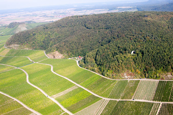 Vue aérienne de Paradis viticole sur le versant de la montagne Bullenheim à le quartier Bullenheim in Ippesheim dans le département Bavière, Allemagne