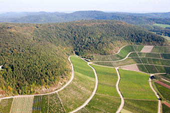 Vue aérienne de Paradis viticole sur le versant de la montagne Bullenheim à le quartier Bullenheim in Ippesheim dans le département Bavière, Allemagne