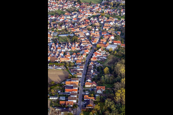 Vue aérienne de Schulzenstr à Hördt dans le département Rhénanie-Palatinat, Allemagne
