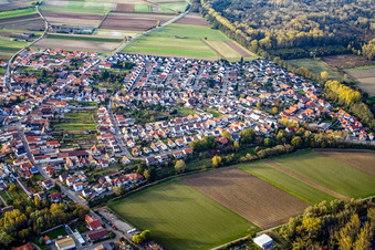 Vue aérienne de Village du sud-est à Hördt dans le département Rhénanie-Palatinat, Allemagne