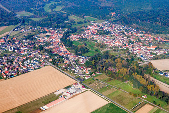 Vue aérienne de Champs agricoles et terres agricoles à Scheibenhard dans le département Bas Rhin, France