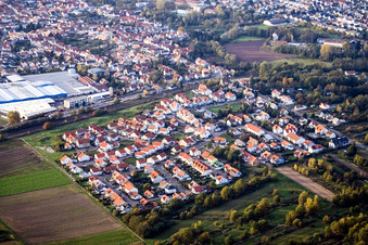Vue aérienne de Rue Robert Koch à Bellheim dans le département Rhénanie-Palatinat, Allemagne