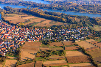 Vue aérienne de Dammstr à Neuburg am Rhein dans le département Rhénanie-Palatinat, Allemagne