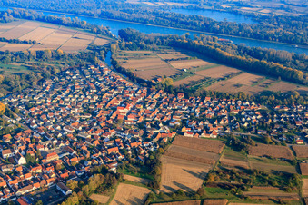 Vue aérienne de Village sur le Neuburg Altrhein à Neuburg am Rhein dans le département Rhénanie-Palatinat, Allemagne