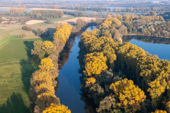 Vue aérienne de Hagenbacher Altrhein à le quartier Maximiliansau in Wörth am Rhein dans le département Rhénanie-Palatinat, Allemagne