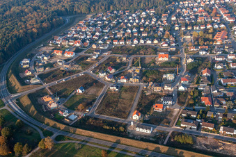 Forstlandallee à Jockgrim dans le département Rhénanie-Palatinat, Allemagne depuis l'avion
