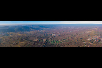 Vue aérienne de Panorama de la Route des Vins et du Haardtrand depuis Frankweiler vers le nord à Frankweiler dans le département Rhénanie-Palatinat, Allemagne