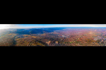 Vue aérienne de Panorama de la Route des Vins et du Haardtrand depuis Frankweiler vers le nord à Frankweiler dans le département Rhénanie-Palatinat, Allemagne