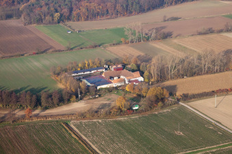 Vue d'oiseau de Leistenmühle à Erlenbach bei Kandel dans le département Rhénanie-Palatinat, Allemagne