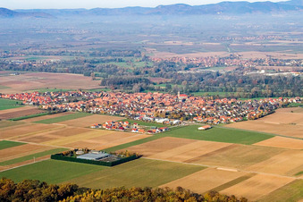 Vue aérienne de Champs agricoles et terres agricoles à Steinweiler dans le département Rhénanie-Palatinat, Allemagne