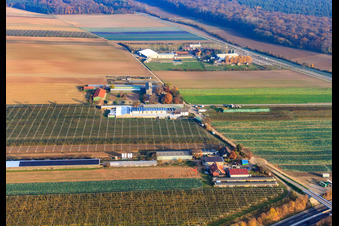 Vue aérienne de Zapf Hofmarkt et Adamshof à Kandel dans le département Rhénanie-Palatinat, Allemagne