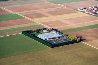 Sudetenhof à Steinweiler dans le département Rhénanie-Palatinat, Allemagne vue du ciel