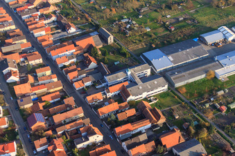 Extension DBK dans les jardins Unterkandler à Kandel dans le département Rhénanie-Palatinat, Allemagne du point de vue du drone