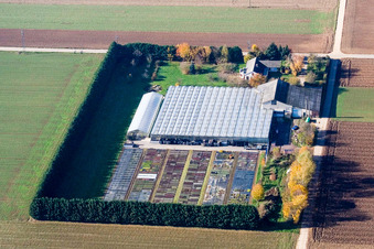 Sudetenhof à Steinweiler dans le département Rhénanie-Palatinat, Allemagne du point de vue du drone