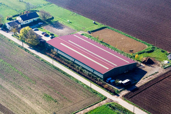 Photographie aérienne de Ferme d'élevage de poulains à Steinweiler dans le département Rhénanie-Palatinat, Allemagne