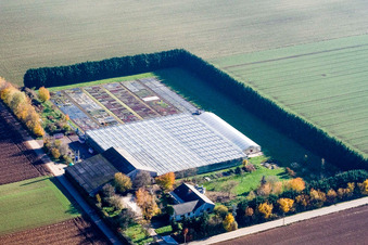 Vue aérienne de Sudetenhof à Steinweiler dans le département Rhénanie-Palatinat, Allemagne