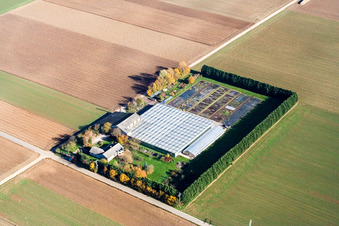 Vue oblique de Sudetenhof à Steinweiler dans le département Rhénanie-Palatinat, Allemagne