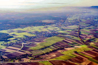 Vue aérienne de Village de Viehstrich en bordure du Bienwald depuis le nord-est à Freckenfeld dans le département Rhénanie-Palatinat, Allemagne