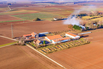 Schossberghof à Minfeld dans le département Rhénanie-Palatinat, Allemagne hors des airs