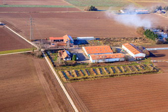 Schossberghof à Minfeld dans le département Rhénanie-Palatinat, Allemagne vue d'en haut
