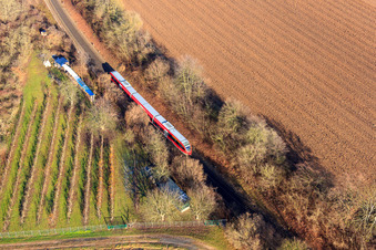 Vue aérienne de Train régional à Minfeld dans le département Rhénanie-Palatinat, Allemagne