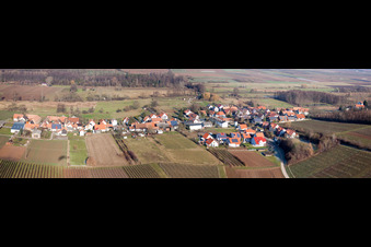 Vue aérienne de Panorama - Perspective des champs et des terres agricoles à Hergersweiler dans le département Rhénanie-Palatinat, Allemagne
