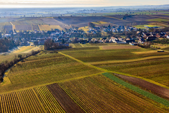 Vue aérienne de Vue du village derrière les vignes depuis le nord à Dierbach dans le département Rhénanie-Palatinat, Allemagne