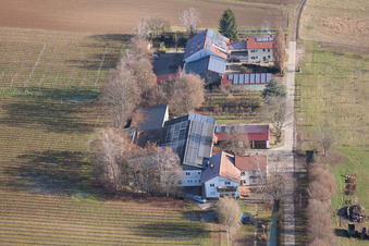 Eichenhof à le quartier Deutschhof in Kapellen-Drusweiler dans le département Rhénanie-Palatinat, Allemagne d'en haut