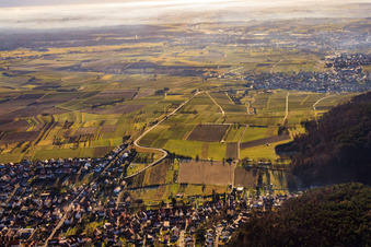 Vue aérienne de Sortie entre les vignes par le nord-ouest à le quartier Rechtenbach in Schweigen-Rechtenbach dans le département Rhénanie-Palatinat, Allemagne
