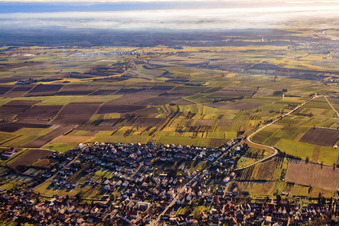 Vue aérienne de Sortie entre les vignes par le nord-ouest à le quartier Rechtenbach in Schweigen-Rechtenbach dans le département Rhénanie-Palatinat, Allemagne