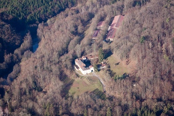 Photographie aérienne de Château Langenberg à Weiler dans le département Bas Rhin, France