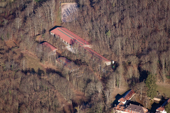 Vue oblique de Château Langenberg à Weiler dans le département Bas Rhin, France