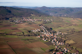 Steinseltz dans le département Bas Rhin, France vu d'un drone