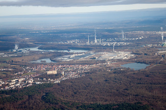 Photographie aérienne de Du sud-ouest à Wörth am Rhein dans le département Rhénanie-Palatinat, Allemagne